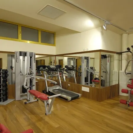 Beautiful Lighted By The Sun - Beahost Бибионе