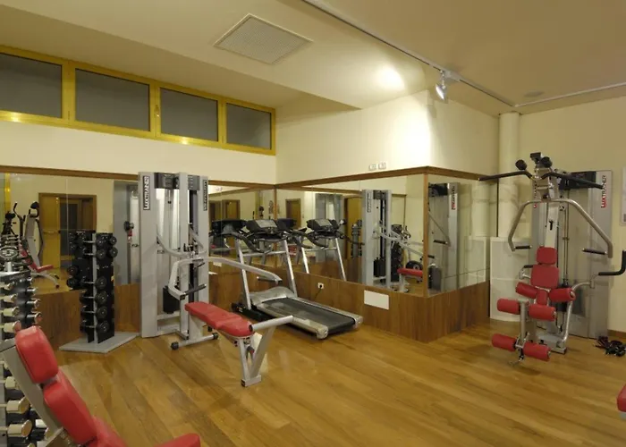 Beautiful Lighted By The Sun - Beahost Bibione