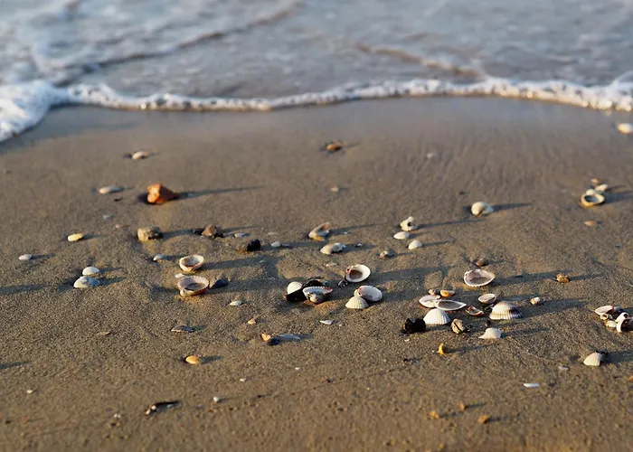 Appartamento Beautiful Lighted By The Sun - Beahost